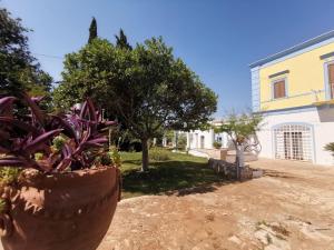 Casina delle Rose - Scirocco