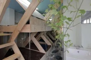 Music Uni Street Backpacker's Hostel - Nose