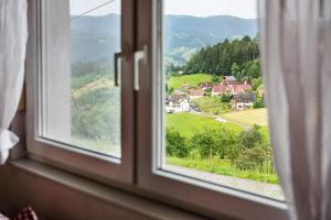 Grüner Ausblick