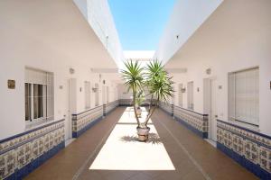 Apartamento Atlántico 102