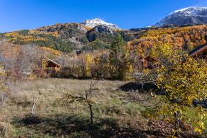 Chalet Le Chastel