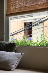 Kén Stay - Sun drenched Living & Local Foodie Hub