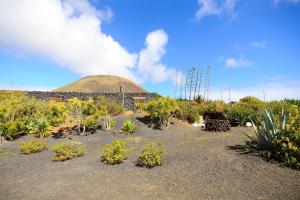 La Bodega - House on volcano with a piano