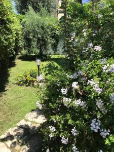 Alloggio Nettuno img13