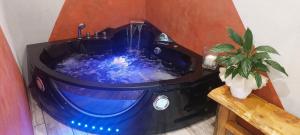 Agriturismo Il nido tra gli ulivi