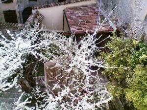 La Casa Del Susino Historic