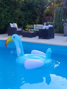 Chez Noëlle - Piscine