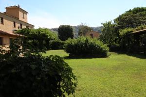 Il Vignone - Castagneto Carducci