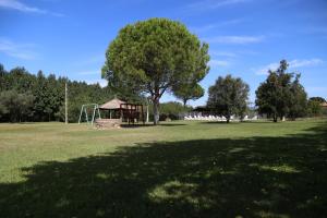 Il Vignone - Castagneto Carducci