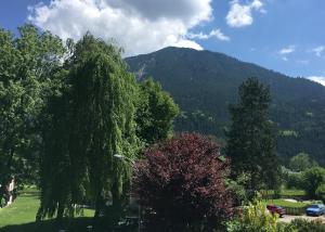 Ferienwohnung Haus Greif