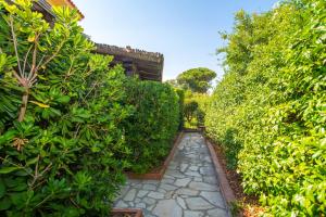 Appartamento del Cormorano img19