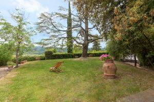 Fattoria la Gigliola - Il Frantoio