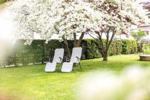 Taufner Apartement C 103