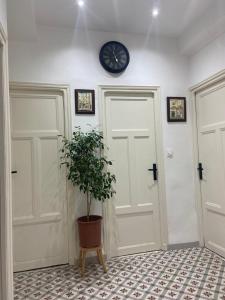 Beautiful place to stay in Constantine