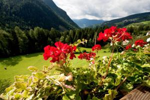 App Ringelblume Biohof Unterspisser