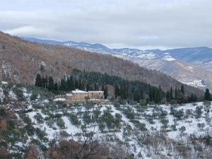 La Casa di Colle