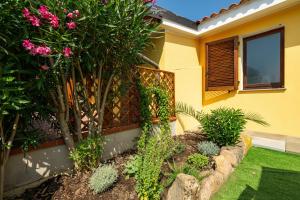 Casa Stellina img19