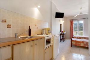 Dolphin Studio Sea View 10