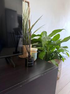 Apartamento Machadinho