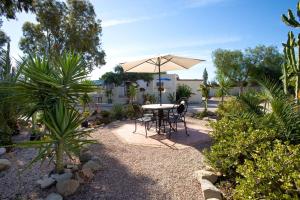 Garten und Pool