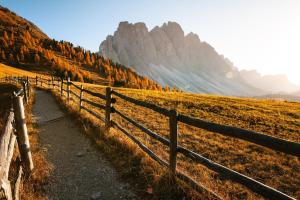 Bergblick App Fichte