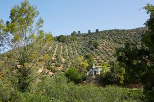 Casa Rural Los Angostones