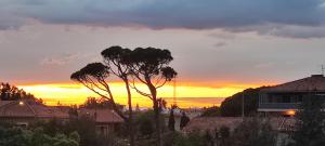 Location Fréjus Plage