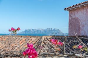 Villetta Nicola img20