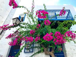 The Balcony Of Bougainvillea