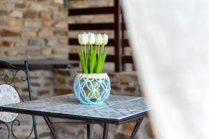 Casa Fiamma img6