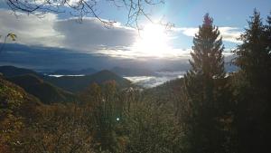 The Cabin In The Woods