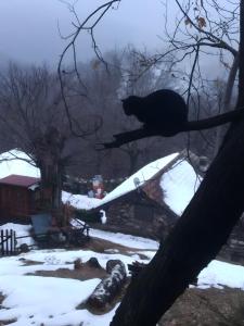 The Cabin In The Woods