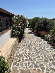 Appartamento Panorama 1 img35