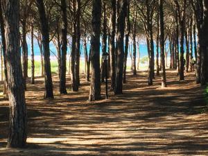 Appartamento Panorama 1 img38