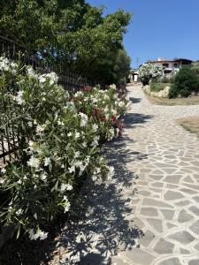 Appartamento Panorama 1 img34