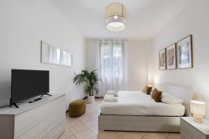 Dream Room Apartment