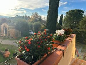 Podere Sasso 3