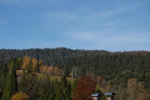 Haus Rappolder - Ferienwohnung