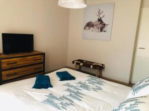 Appartement Cocooning-sauna-jacuzzi