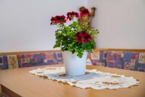 Apartment Sonnenschein