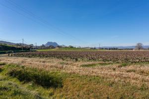 Joli Chalet en bois mésange bleu