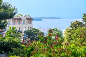 Bellevue Cannes