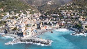 Gli Ulivi