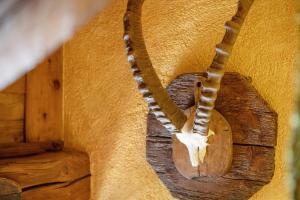 Affittacamere Saint-Salod