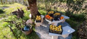 Podere Le Palme img34