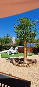 Casa Vacanze La Pavoncella