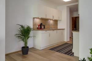 Apartment Habicht