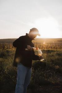 Cão Vadio Wine and Stay