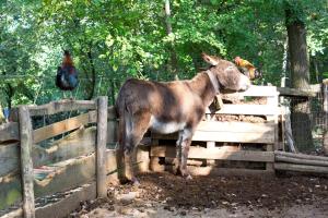 Colleincanto Appartamento Torretta