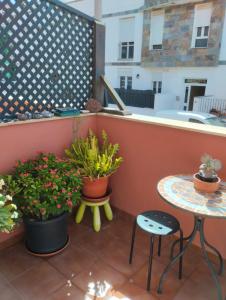 Apartamento Aloe